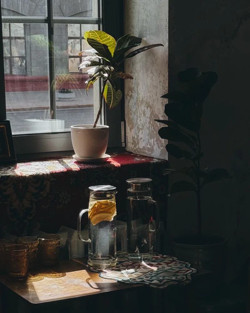 A cozy indoor scene with a sunlit window, plant, and water pitchers with lemon slices.